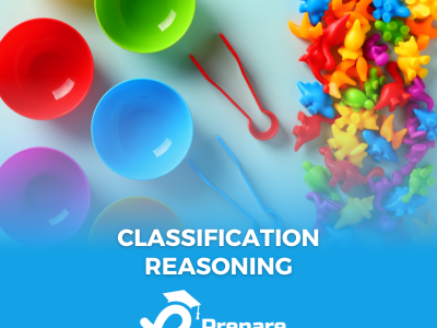 10 Common Classification Reasoning Topics For Success