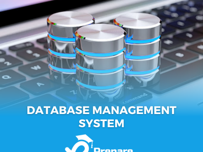 Database Management System